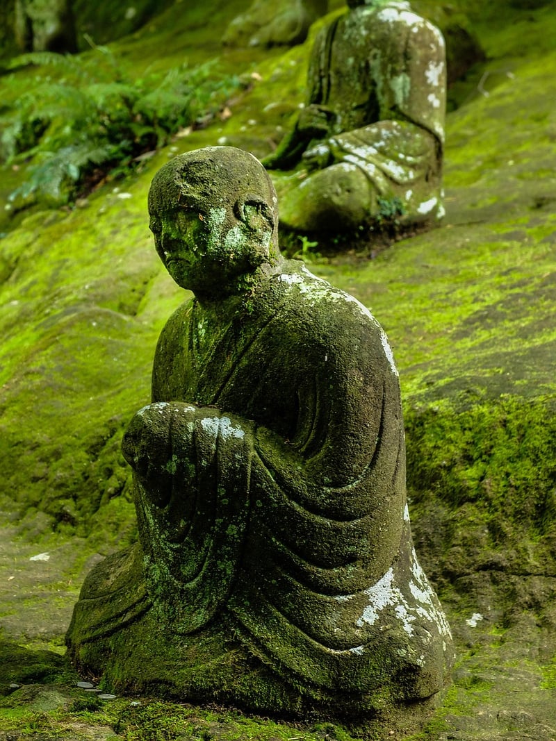 Tai Chi Image